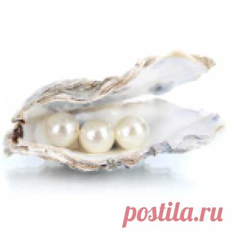 Жемчужины Божественной Мудрости (culture.lit.mudrostinfo) : Рассылка : Subscribe.Ru