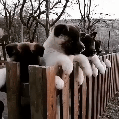 ༺🌸༻
Доброе утро, друзья!
Всем хорошего дня и отличного настроения!.
