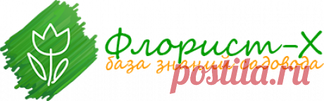 Болезни комнатных растений: лечение, защита, обработка