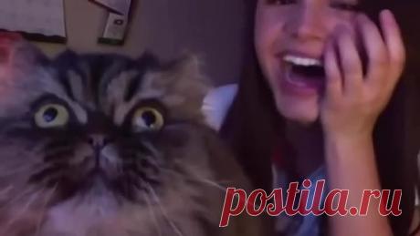 Пусти, я тоже попеть хочу!⁠⁠