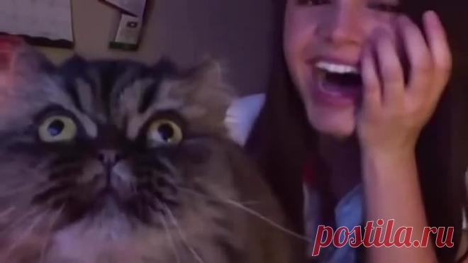 Пусти, я тоже попеть хочу!⁠⁠