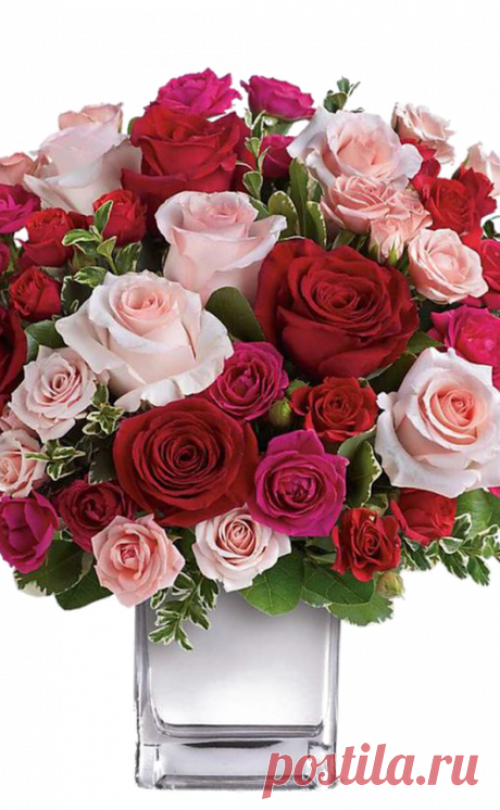 Flowers – Google+