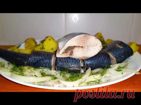 СЕЛЬДЬ - ВКУСНЕЕ Красной РЫБЫ Самый Лучший РЕЦЕПТ покажу как вкусно засолить дома
