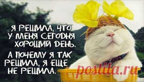 Открытки с интересными мыслями – Фитнес для мозга