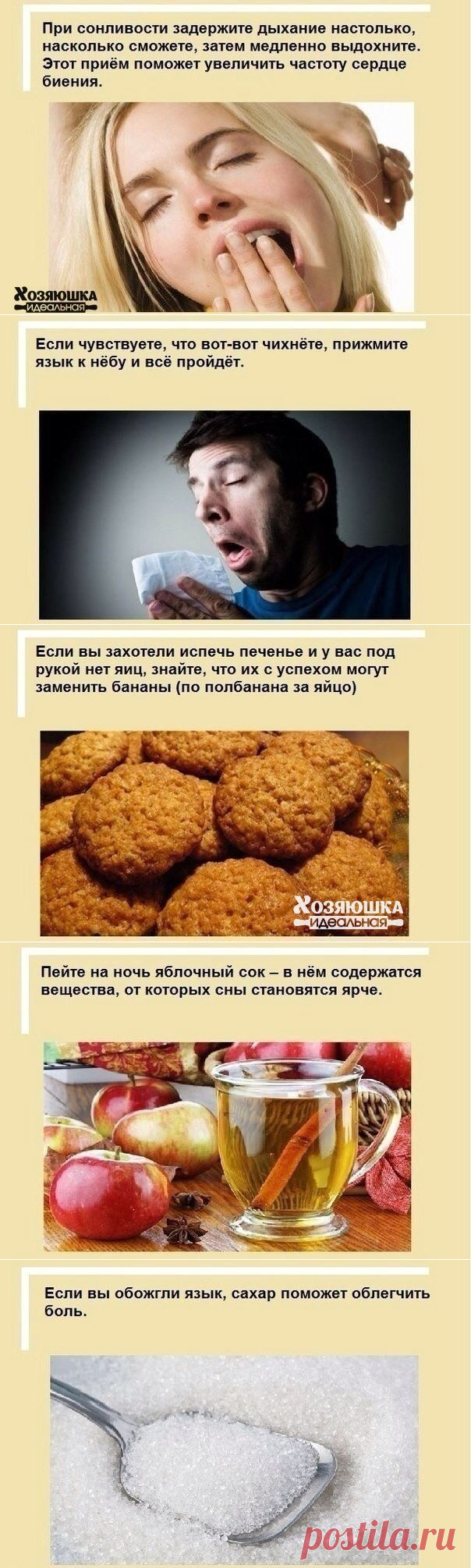 Полезные советы