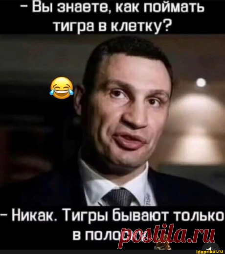 Вы знаете, как поймать тигра в клетку? - Никак. Тигры бывают только В ПОЛОСКУ. - АйДаПрикол