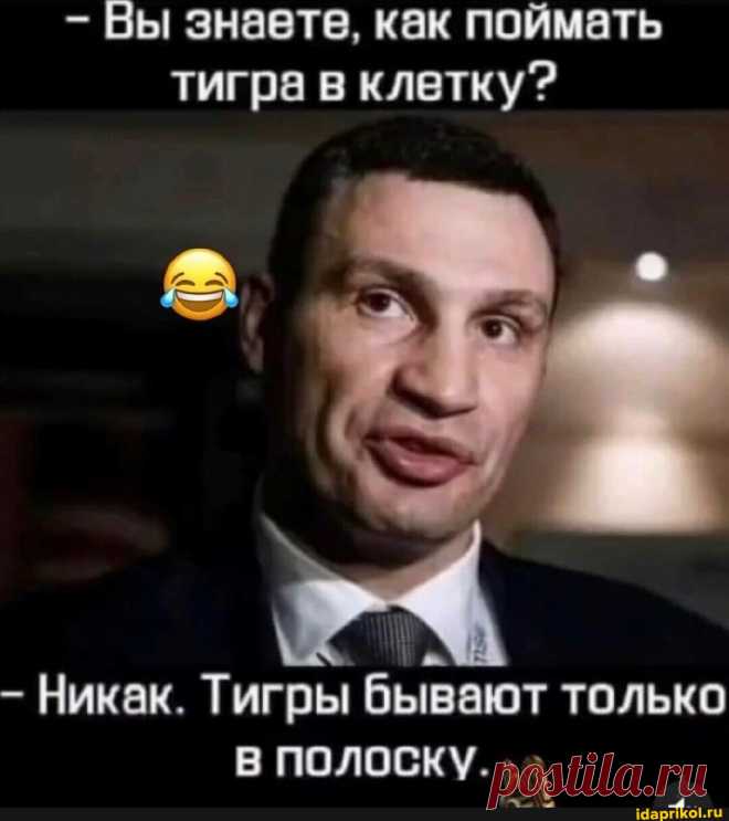 Вы знаете, как поймать тигра в клетку? - Никак. Тигры бывают только В ПОЛОСКУ. - АйДаПрикол