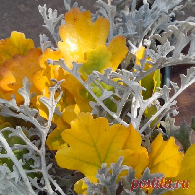 Группа базового курса флористический дизайн с учебными днями вторник и четверг начинает свою работу с 15 октября. Если вы уже закончили краткий курс, поторопитесь записаться в эту группу. Так как количество мест ограниченно.