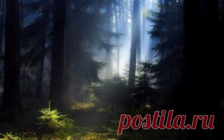 Ах, эти туманы, тревожат мне душу, и топят меня, как в морях корабли!