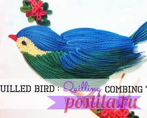 Quilling Combing technique : Quilled bird - THE CRAFTY ANGELS