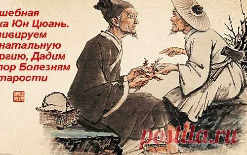 Волшебная Точка Юн Цюань. Активируем Пренатальную Энергию, Дадим Отпор Болезням И Старости.