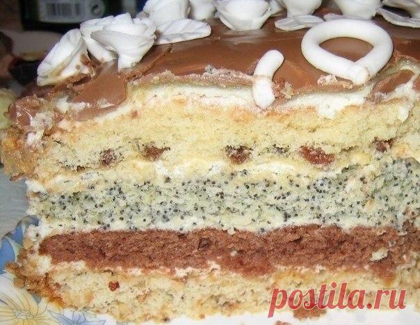 Торт проще простого |  ДЕСЕРТЫ Коржей всего четыре: с изюмом, какао, маком, орехами Ингредиенты: для одного коржа: 1 яйцо1 ч. ложка крахмала0,5 ч. ложки соды или разрыхлителя0,5 стакана сахара0,5 стакана сметаны0,5 стакана