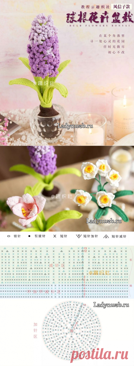 Гиацинт крючком схемы | Ladynweb.ru