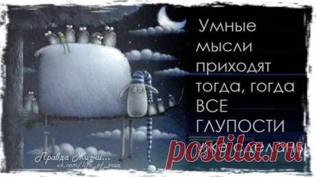 Скоро обед... / Болталка / Юмор