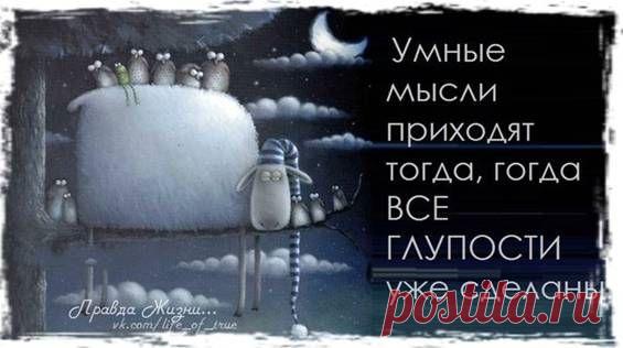 Скоро обед... / Болталка / Юмор