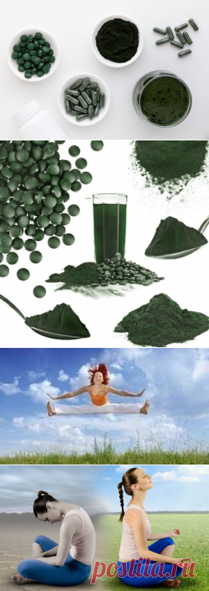 Дозировка спирулины, как и сколько принимать?