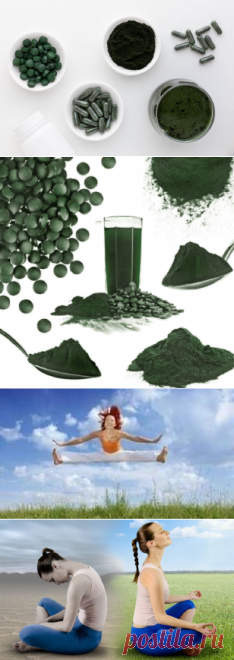 Дозировка спирулины, как и сколько принимать?