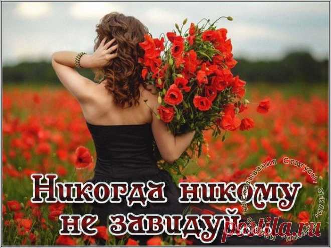 Никогда никому не завидуй. Стихи.