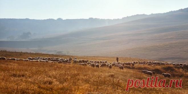 красивые картины молдавии природы - 4 тыс. картинок - Поиск Mail.Ru