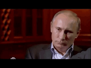 Putka_rzhyot.gif (320×240)