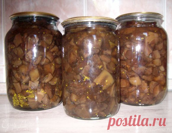 Бабушкины маринованные свинухи
