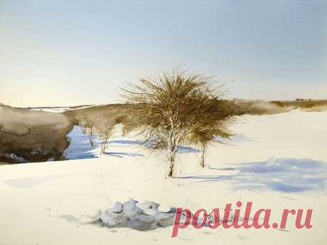 Художник-акварелист Fred Poisson