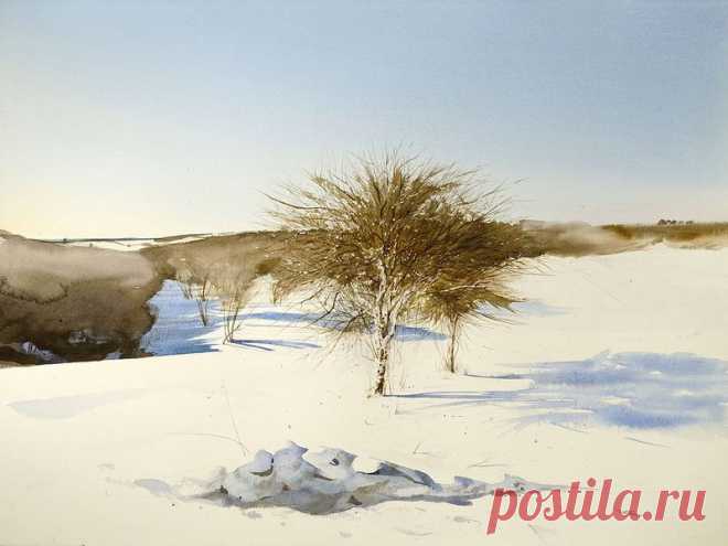 Художник-акварелист Fred Poisson