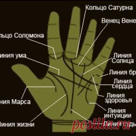 Photo by Хиромант💖 Наталья 🤚 in Россия. May be an image of text that says 'кольцо сатурна кольцо соломона венец венеры линия ума линия солнца линия марса линия брака линия сердца линия здоровья линия жизни линия интуиции линия судьбы'.