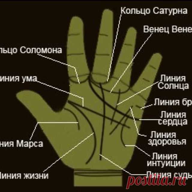 Photo by Хиромант💖 Наталья 🤚 in Россия. May be an image of text that says 'кольцо сатурна кольцо соломона венец венеры линия ума линия солнца линия марса линия брака линия сердца линия здоровья линия жизни линия интуиции линия судьбы'.