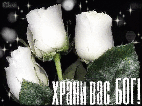 Мой Мир@Mail.Ru