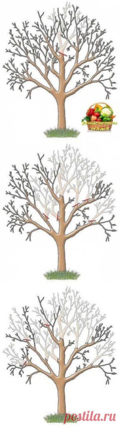 (2) Одноклассники