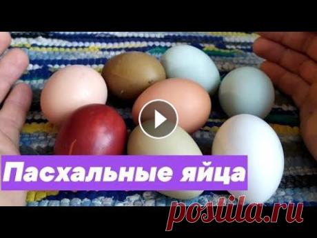 ПАСХАЛЬНЫЕ ЯЙЦА. КОГО С КЕМ СКРЕСТИТЬ ЧТОБЫ ПОЛУЧИЛОСЬ. ПАСХАЛЬНЫЕ ЯЙЦА. КОГО С КЕМ СКРЕСТИТЬ ЧТОБЫ ПОЛУЧИЛОСЬ....