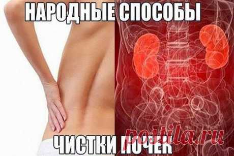 Ваш личный врач.: народный способ очистки почек