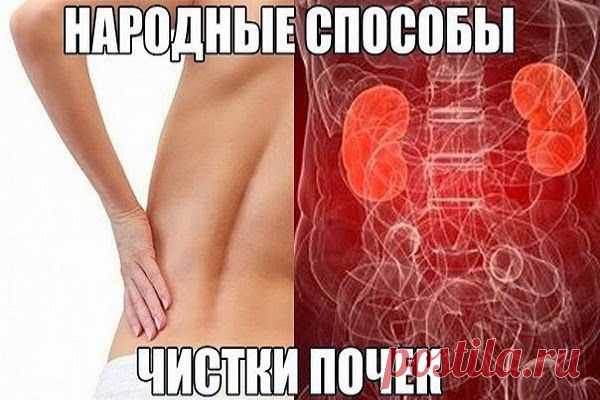 Ваш личный врач.: народный способ очистки почек