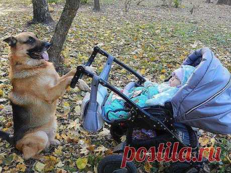 Баю - баюшки - баю....Где же носит мать твою...