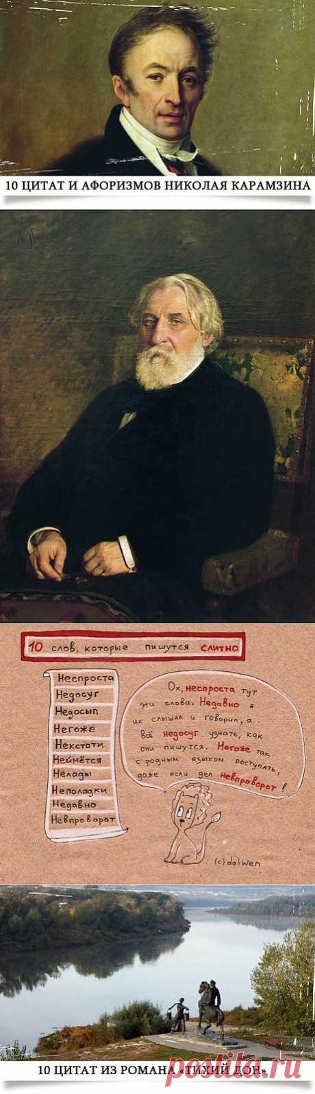 Я люблю русский язык!