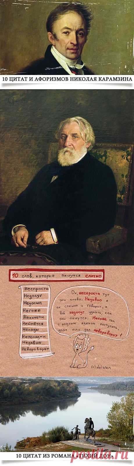 Я люблю русский язык!