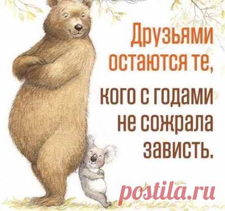 Наши любимые шутки