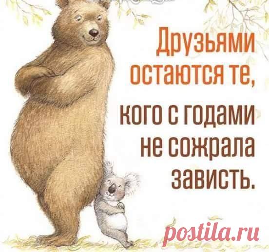 Наши любимые шутки