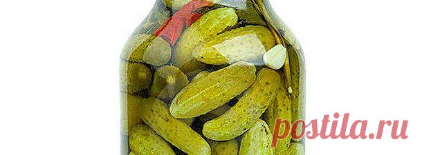 Как я консервирую огурцы,которые никогда не взрываются! | pokolenie-x.com