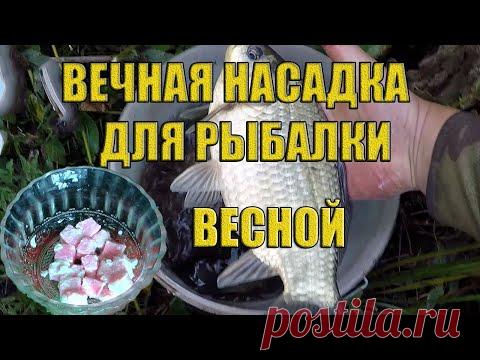 ВЕЧНАЯ НАСАДКА!! ДЛЯ РЫБАЛКИ ВЕСНОЙ. НАСАДКА на КАРАСЯ ЛЕЩА.