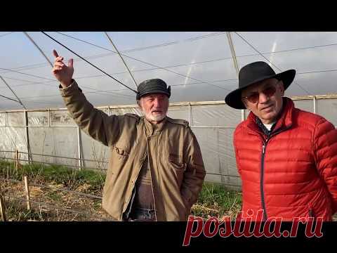 Как правильно выращивать клубнику Часть 2