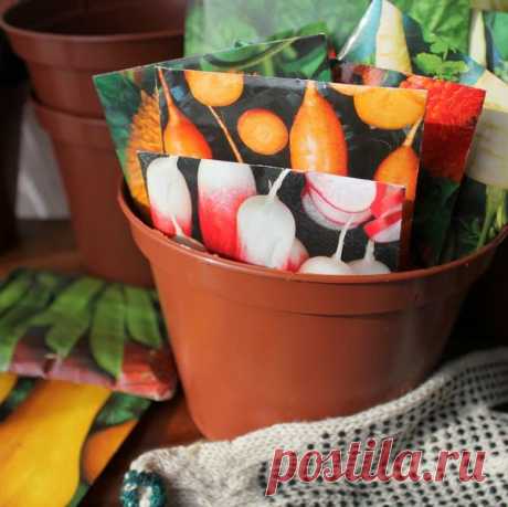 Как купить семена: 10 правил покупки семян