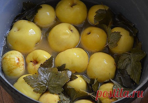 МОЧЕНЫЕ ЯБЛОКИ.