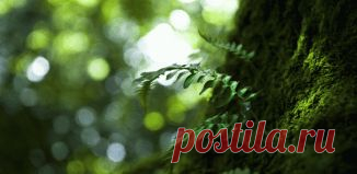 Управление пространством и временем. Урок 2 | Верхосвет