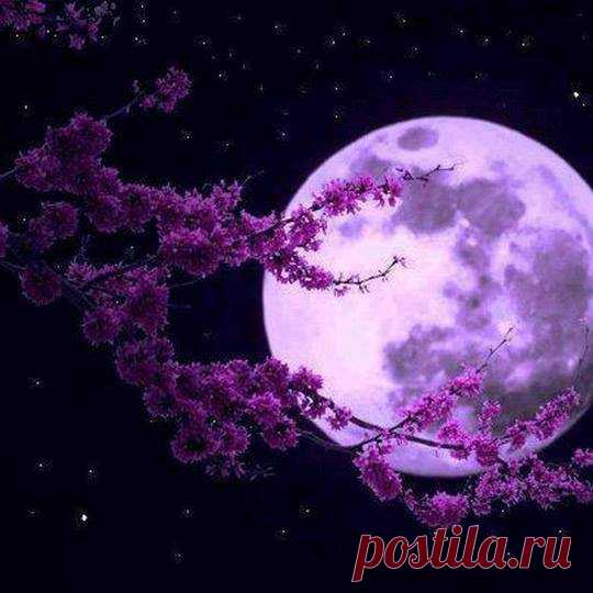 ЛУННЫЙ КАЛЕНДАРЬ. Our Moon life style.