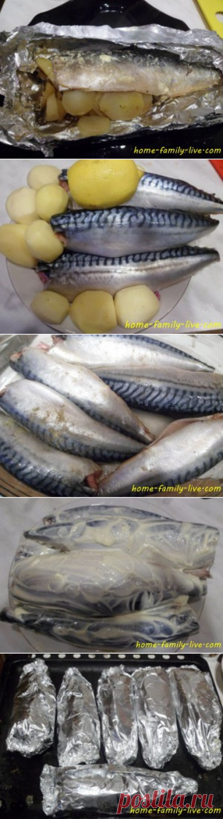 Фаршированная скумбрия - пошаговый рецепт с фотоКулинарные рецепты