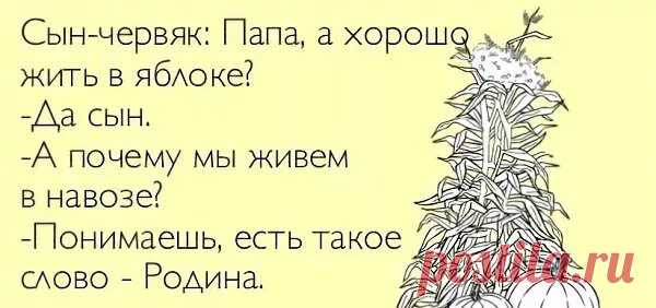 Анекдот про двух навозных червяков : 