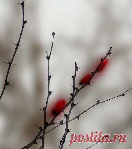 Все распинавшие Христа умерли страшной смертью | Православие и мир