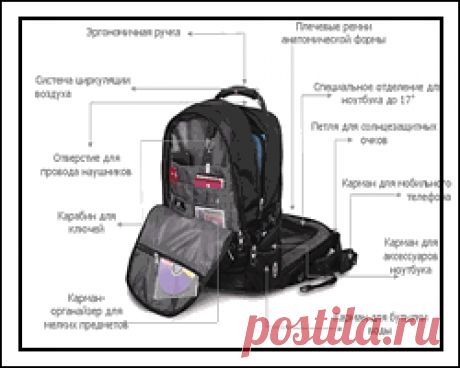 10 лучших рюкзаков и сумок для ноутбуков школьнику